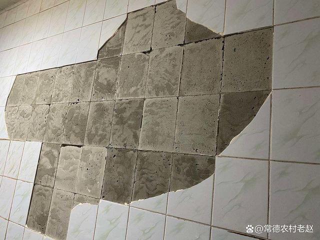 墙砖脱落怎么补救(墙砖脱落怎么补救图片)